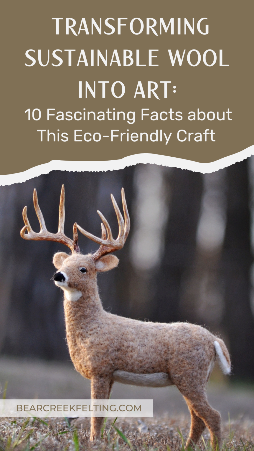 Transforming Sustainable Wool Into Art 10 Fascinating Facts About This