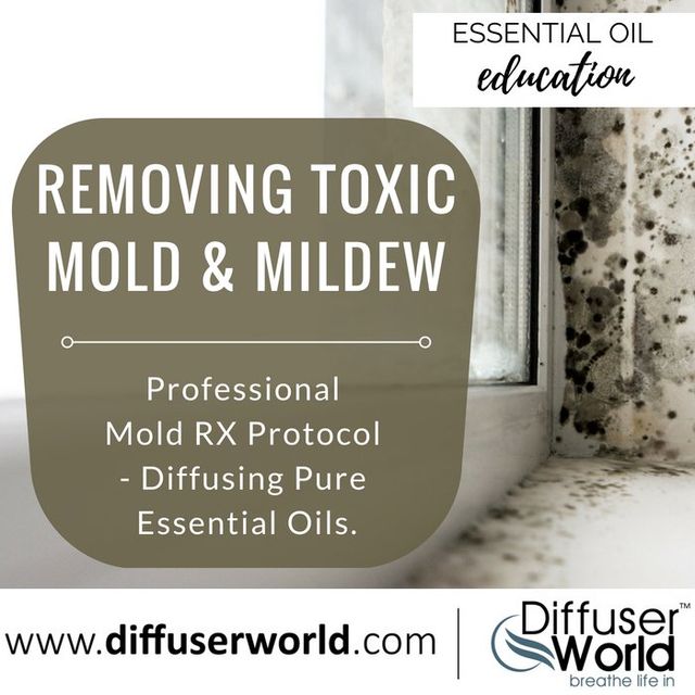 Natural Solutions for Mold and Mildew Removal