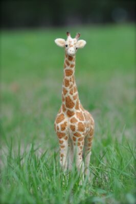 needle felted giraffe
