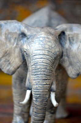 clay elephant sculpture by Teresa Perleberg