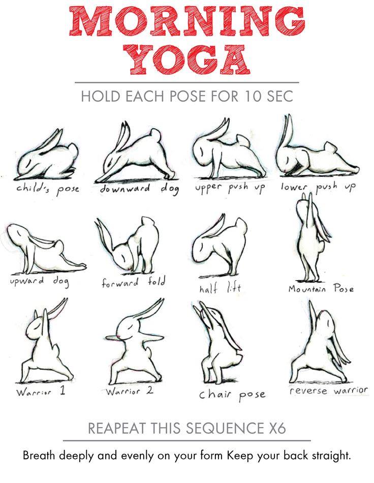 bunny yoga