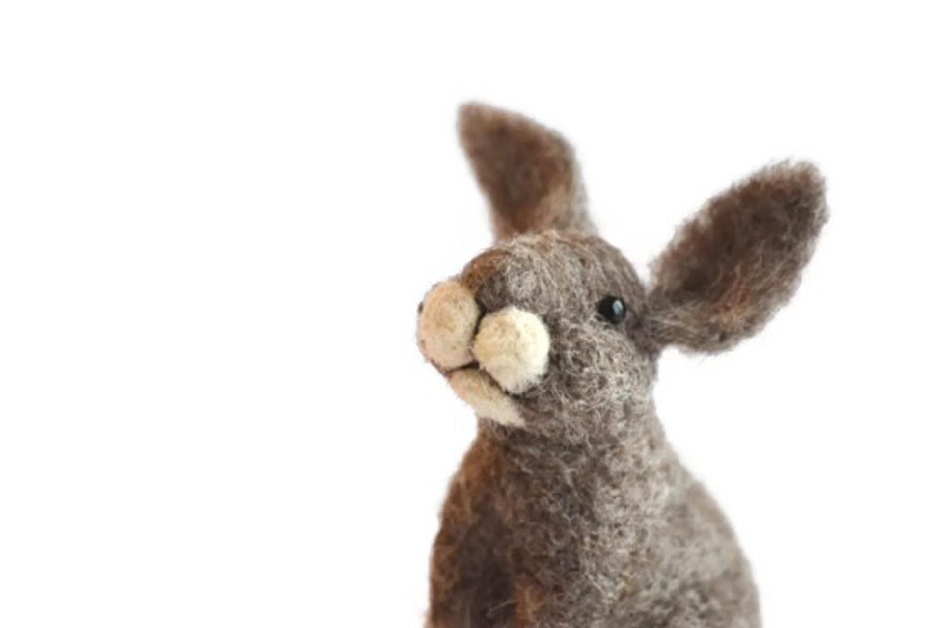 World of Wool Felting Kit - Romeo the Rabbit