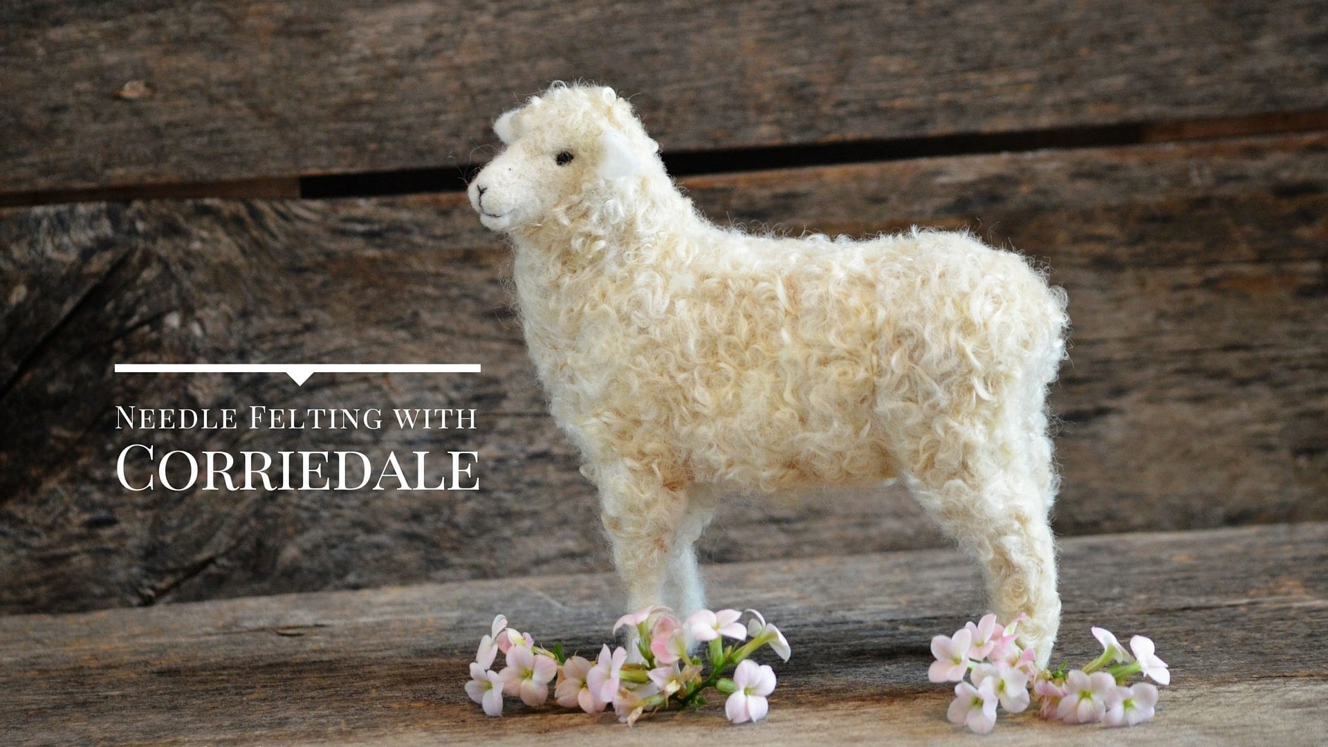 Corriedale Roving & White Natural Core Wool for Needle Felting, Spinning,  Blending. Carded Wool for Fiber Art, Critter Color Variety Pack 
