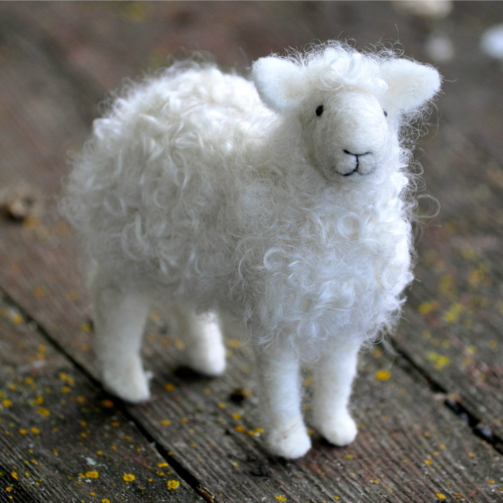 Needle Felting 101 – With His Grace