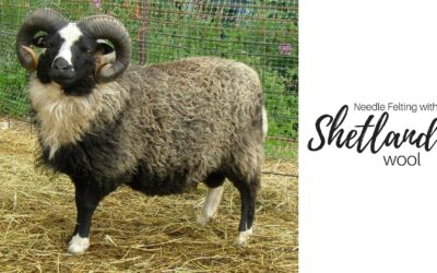 Needle Felting with Shetland Wool