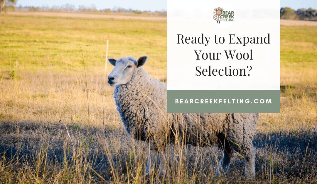 Ready to Expand Your Wool Selection?