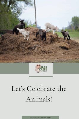 Let’s Celebrate the Animals!