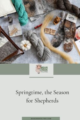 Springtime, the Season for Shepherds