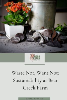 Waste Not, Want Not: Sustainability at Bear Creek Farm