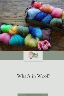 What's in Wool?