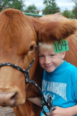 kids and cattle