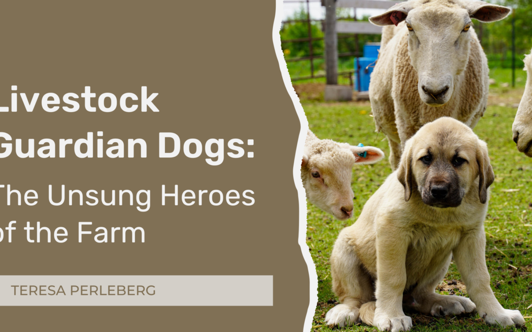 Livestock Guardian Dogs: The Unsung Heroes of the Farm