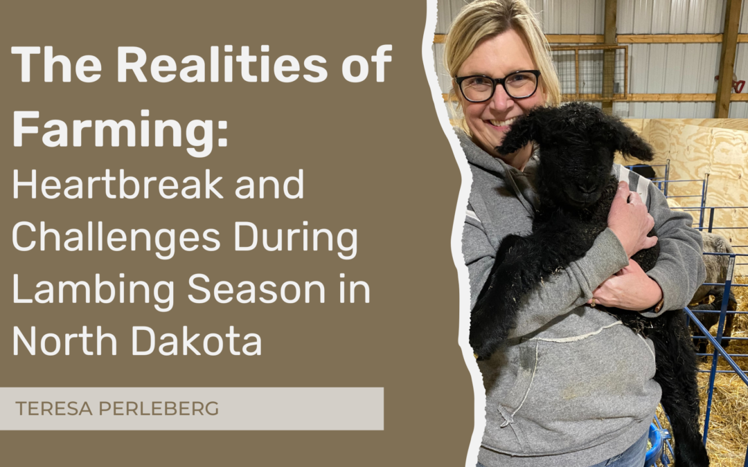The Realities of Farming: Heartbreak and Challenges During Lambing Season in North Dakota