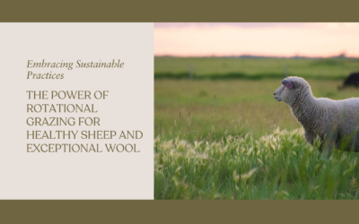 Embracing Sustainable Practices: The Power of Rotational Grazing for Healthy Sheep and Exceptional Wool