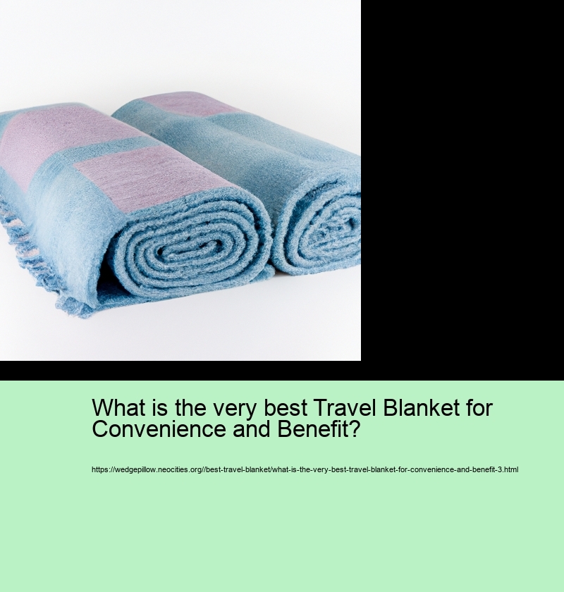 What is the very best Travel Blanket for Convenience and Benefit?