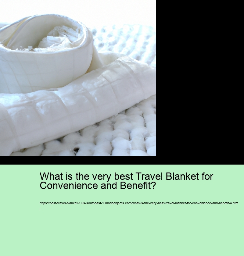 What is the very best Travel Blanket for Convenience and Benefit?