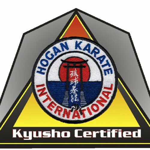 2025 HKI Hogan Karate International Martial Arts Winter Camp