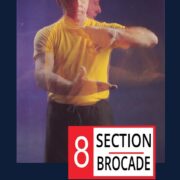 8 SECTION BROCADE DVD JAMES MCNEIL ANCIENT CHINESE EXERCISES FOR CHI CLEANSING