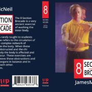 8 SECTION BROCADE DVD JAMES MCNEIL ANCIENT CHINESE EXERCISES FOR CHI CLEANSING - Image 3