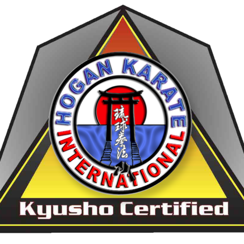 2026 HKI Martial Arts Training Camp