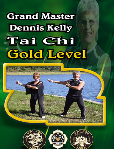 Grand Master Dennis Kelly's Tai Chi Gold Level Training