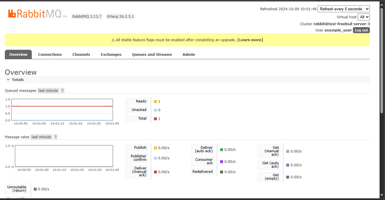 Access the RabbitMQ