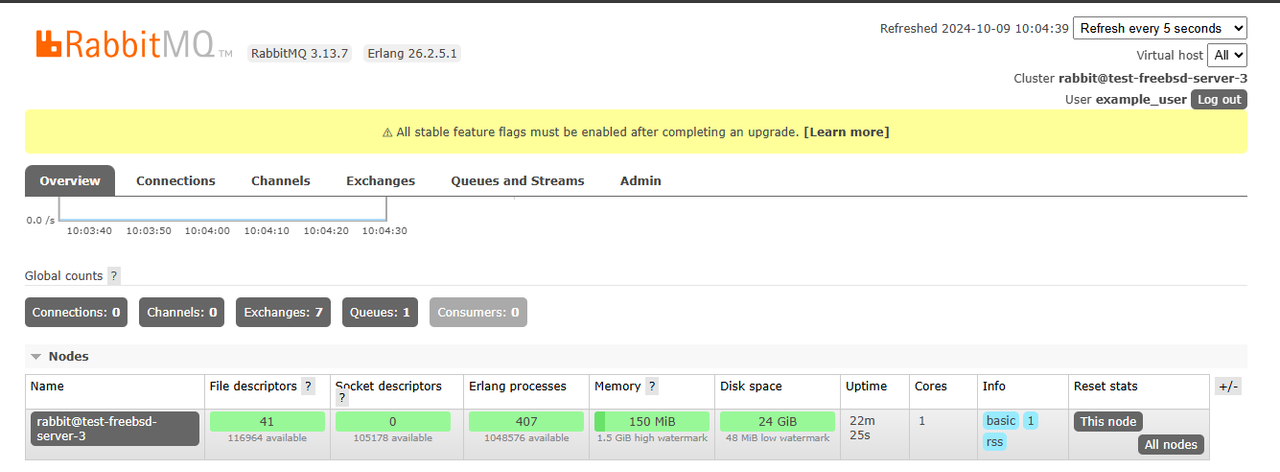 View RabbitMQ nodes