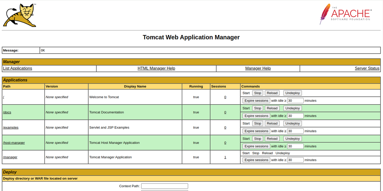 Tomcat Manager App