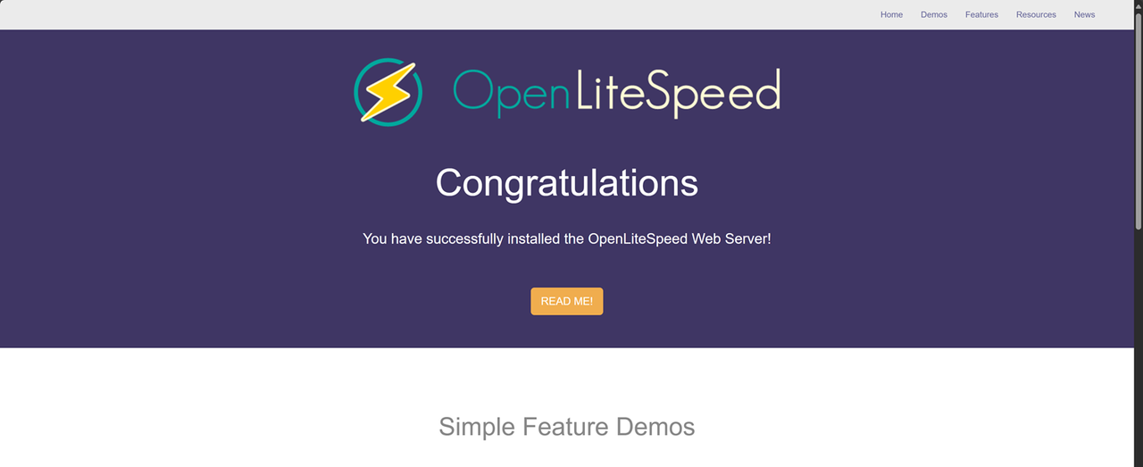 The Default OpenLiteSpeed virtual host page