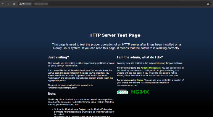 Nginx default page