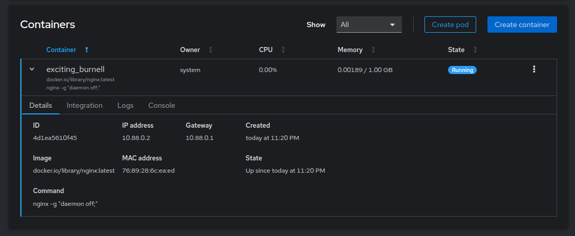 The Nginx container in a running state