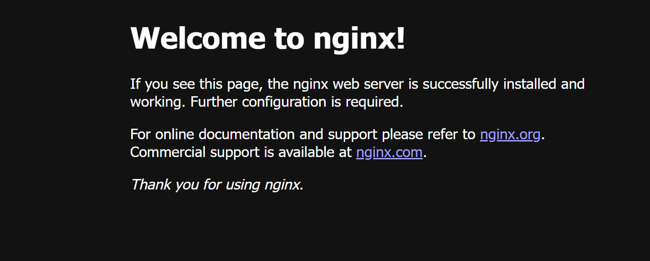 The Nginx containerized application