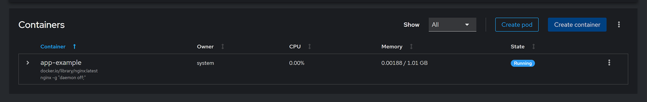 Running Nginx container