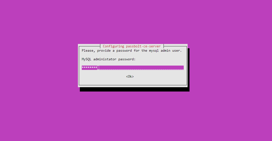 Database Administrator Password