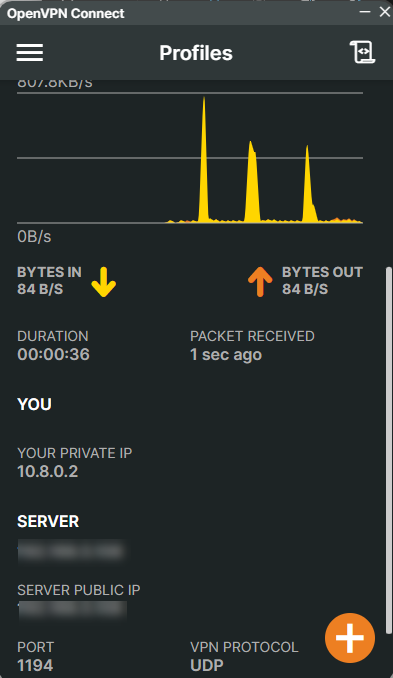 OpenVPN Connection Successful