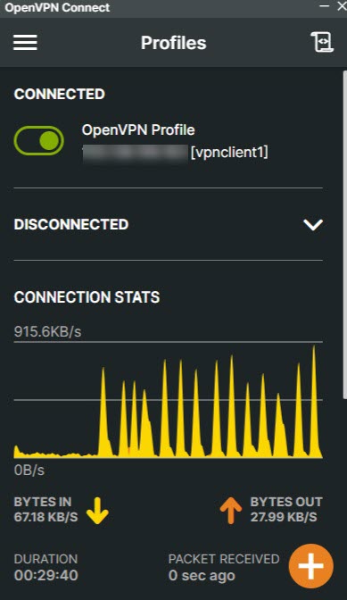 Active OpenVPN Client Connection