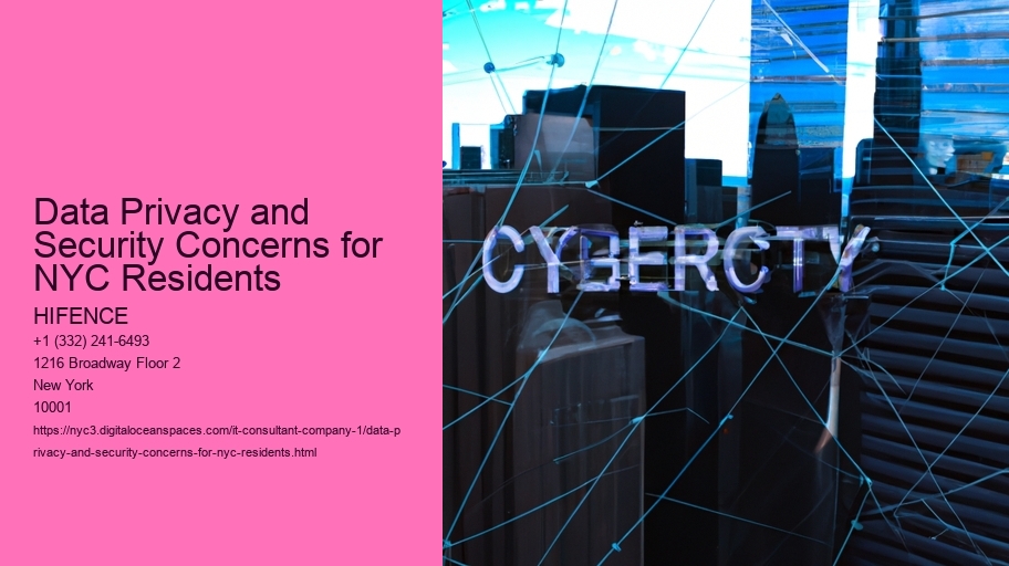 Data Privacy and Security Concerns for NYC Residents