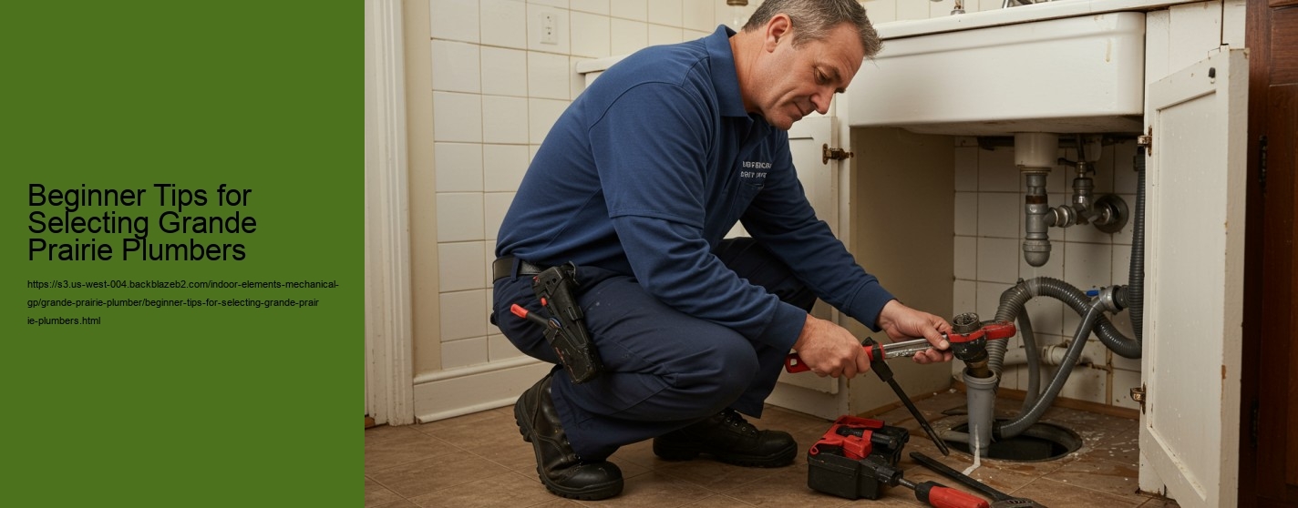 Beginner Tips for Selecting Grande Prairie Plumbers