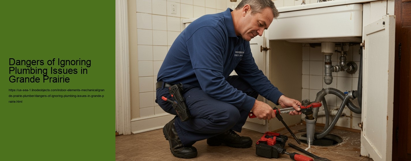 Dangers of Ignoring Plumbing Issues in Grande Prairie