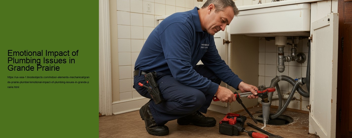 Emotional Impact of Plumbing Issues in Grande Prairie