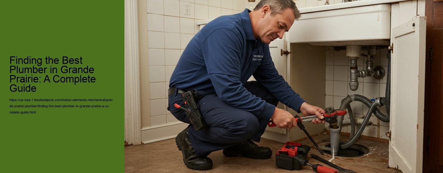 Finding the Best Plumber in Grande Prairie: A Complete Guide
