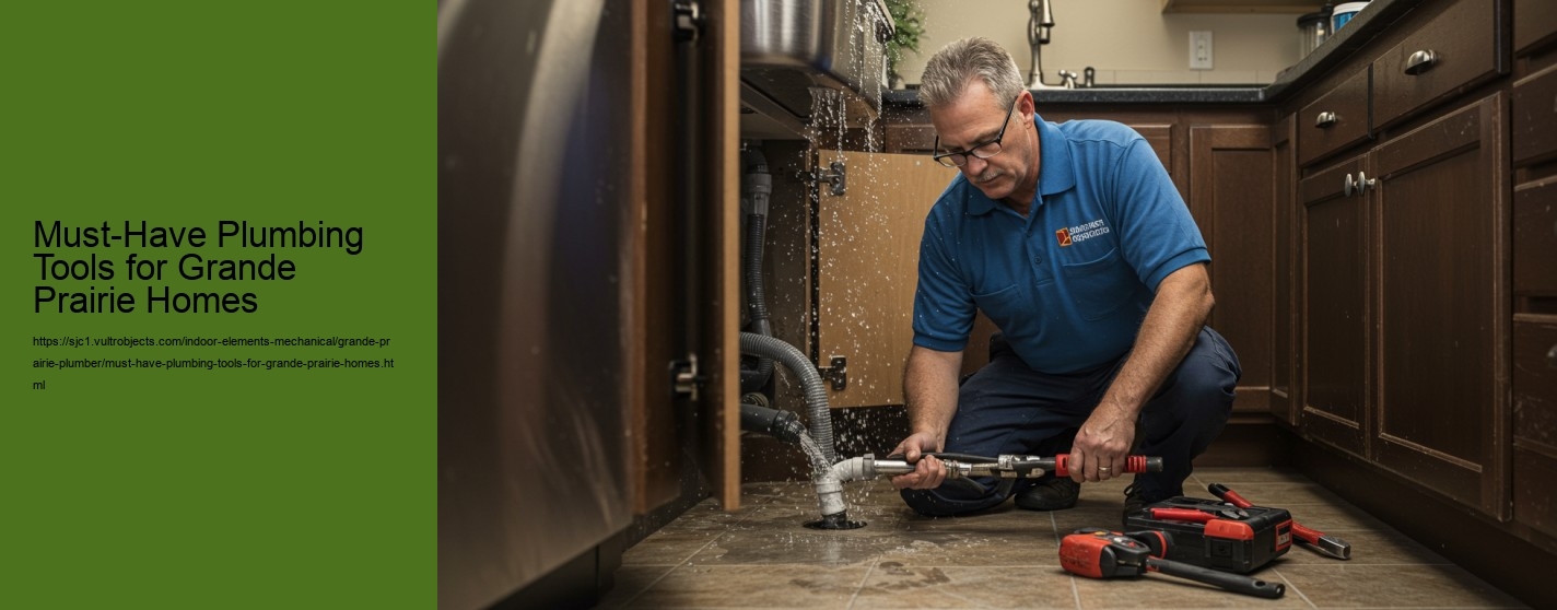 Must-Have Plumbing Tools for Grande Prairie Homes