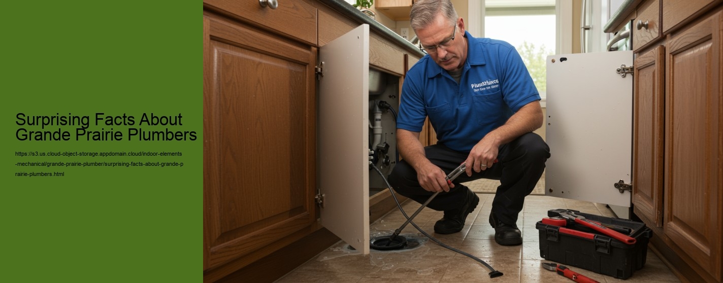 Surprising Facts About Grande Prairie Plumbers