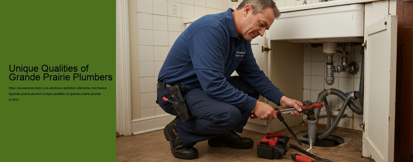 Unique Qualities of Grande Prairie Plumbers