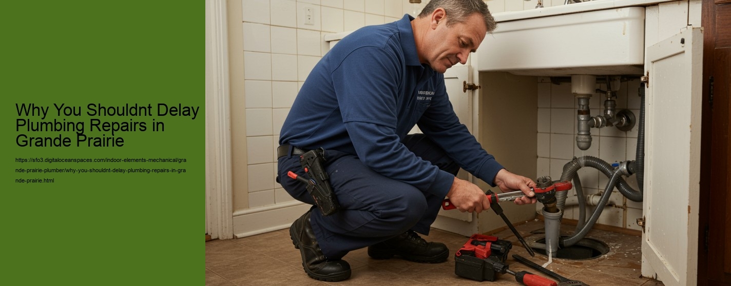 Why You Shouldnt Delay Plumbing Repairs in Grande Prairie