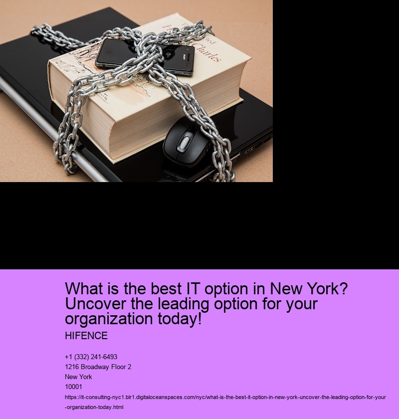 What is the best IT option in New York? Uncover the leading option for your organization today!