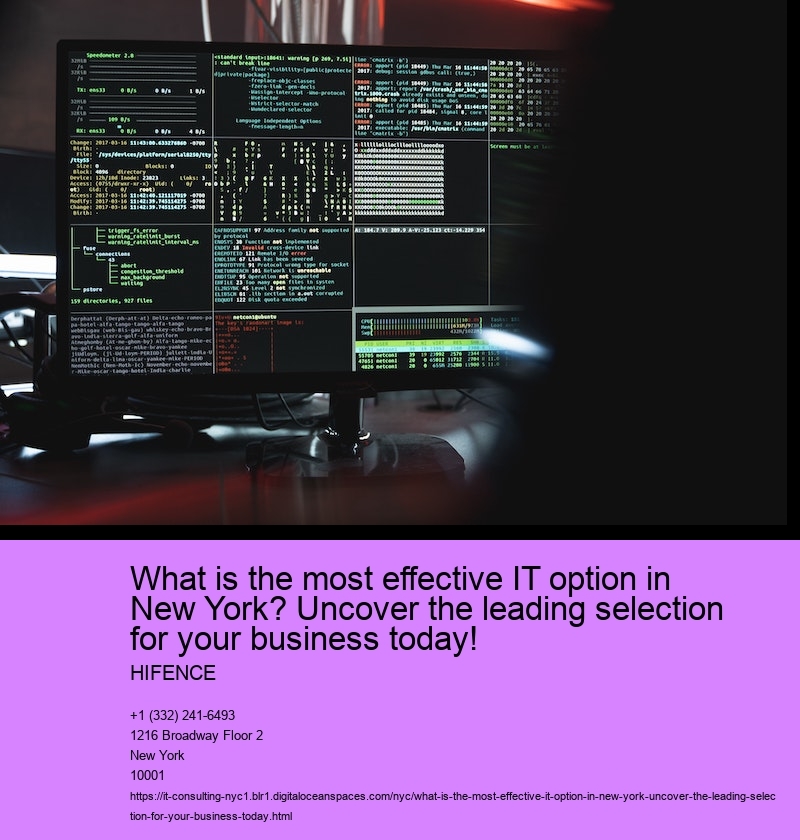 What is the most effective IT option in New York? Uncover the leading selection for your business today!