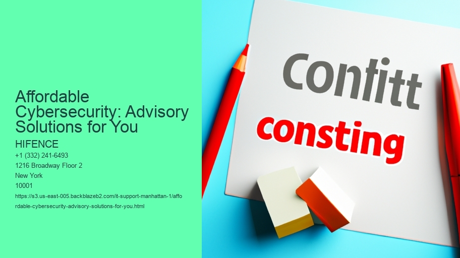 Affordable Cybersecurity: Advisory Options for Small Businesses