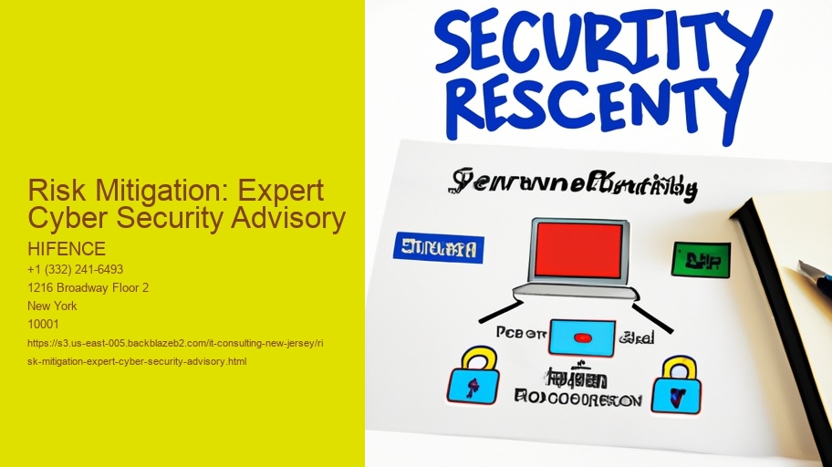 Risk Mitigation: Expert Cyber Security Advisory