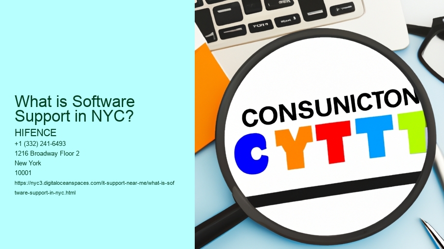 What is Software Support in NYC?